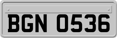 BGN0536