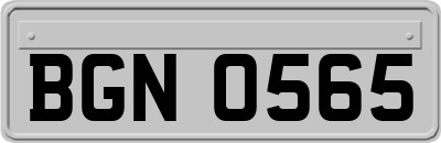 BGN0565