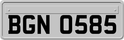 BGN0585