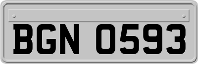 BGN0593