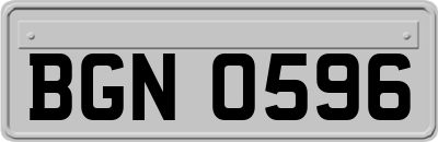 BGN0596