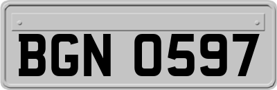 BGN0597
