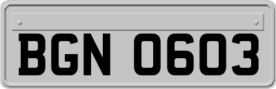 BGN0603
