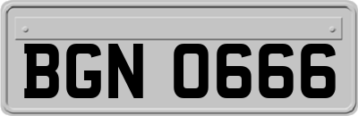 BGN0666