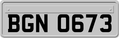 BGN0673