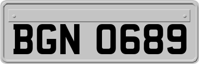 BGN0689
