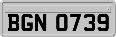 BGN0739