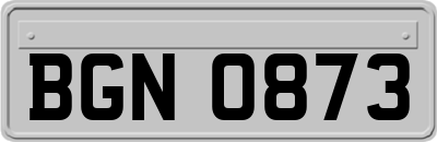 BGN0873