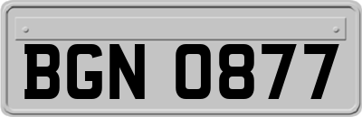 BGN0877