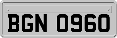 BGN0960