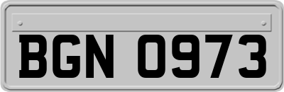 BGN0973