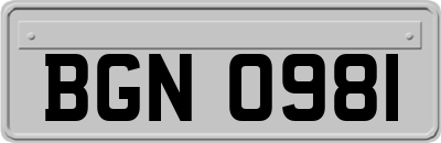 BGN0981