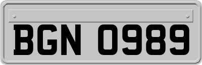 BGN0989