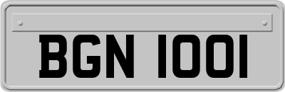BGN1001