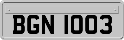 BGN1003