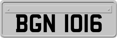 BGN1016