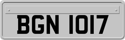 BGN1017