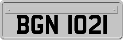 BGN1021