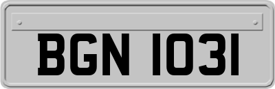 BGN1031