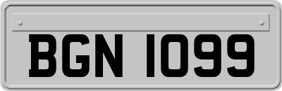 BGN1099