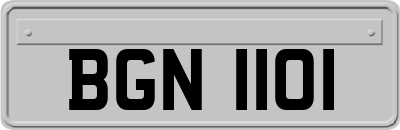 BGN1101