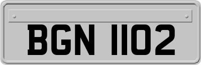 BGN1102