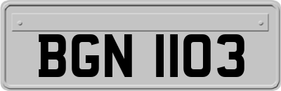 BGN1103