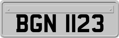 BGN1123