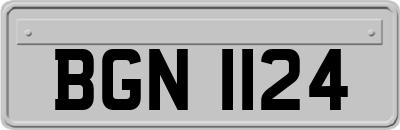 BGN1124