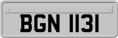 BGN1131
