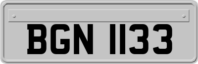 BGN1133