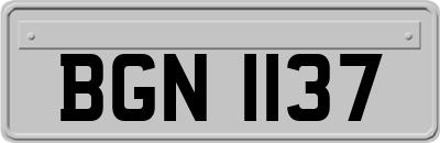 BGN1137