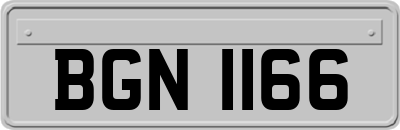 BGN1166