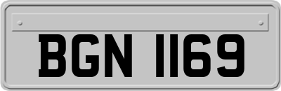 BGN1169