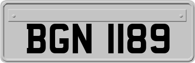 BGN1189