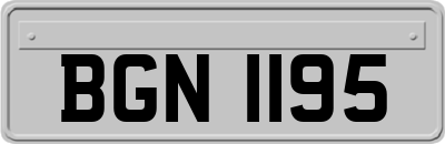 BGN1195