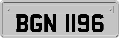 BGN1196