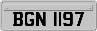 BGN1197