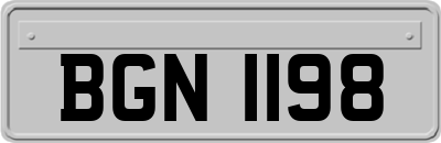 BGN1198