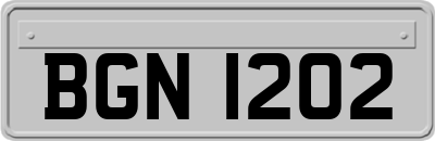 BGN1202