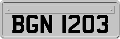 BGN1203