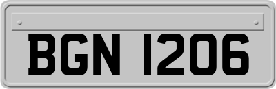 BGN1206