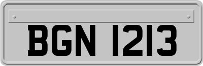 BGN1213