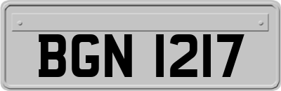 BGN1217