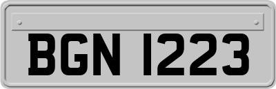 BGN1223