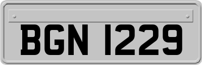 BGN1229