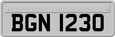 BGN1230