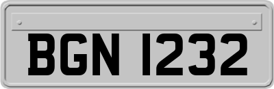 BGN1232