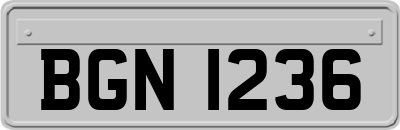 BGN1236