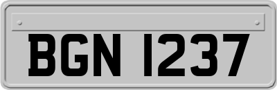 BGN1237